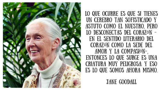 Jane Goodall la Jane de Tarzán