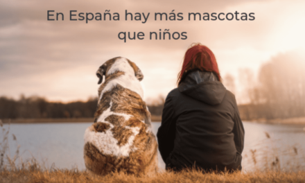 En España hay más mascotas que niños