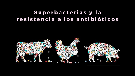 Superbacterias y la resistencia a los antibióticos